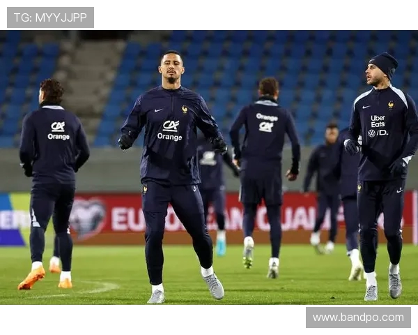 1998年法国世界杯中国队球员完整名单及参赛表现分析